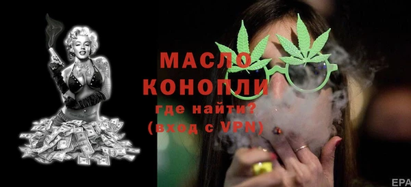 дживик Богородицк
