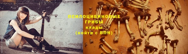 индика Бородино