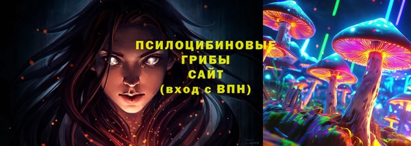 дживик Богородицк