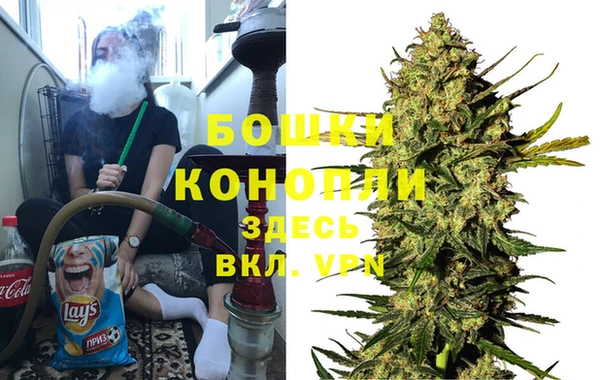 прущий лед Богданович
